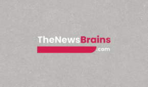 thenewsbrains