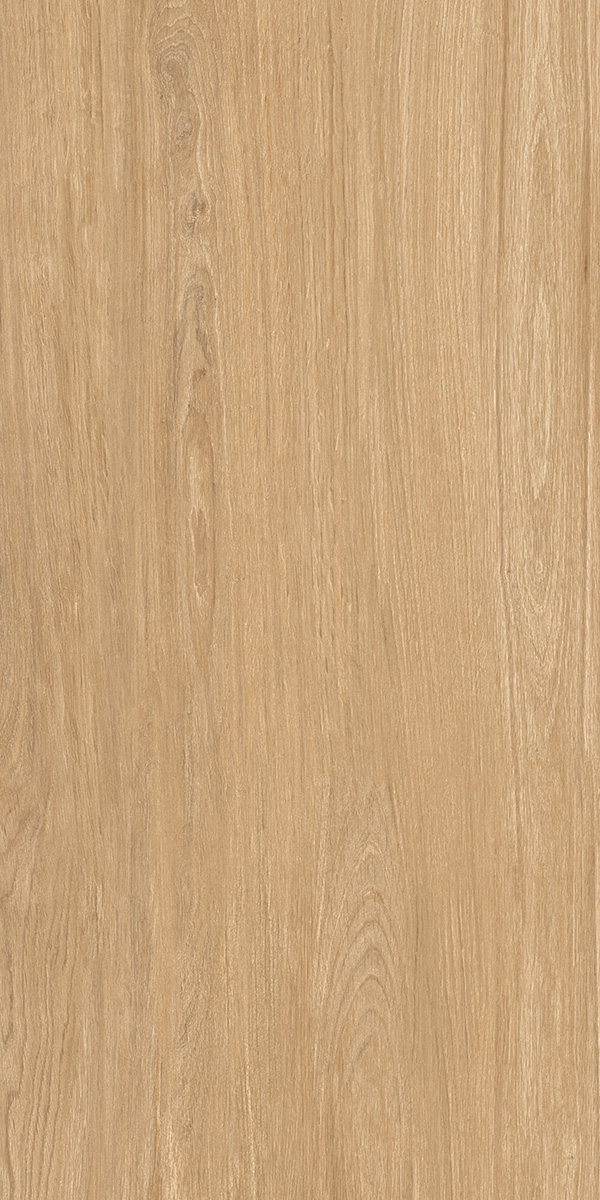 WOODLAND CEDAR